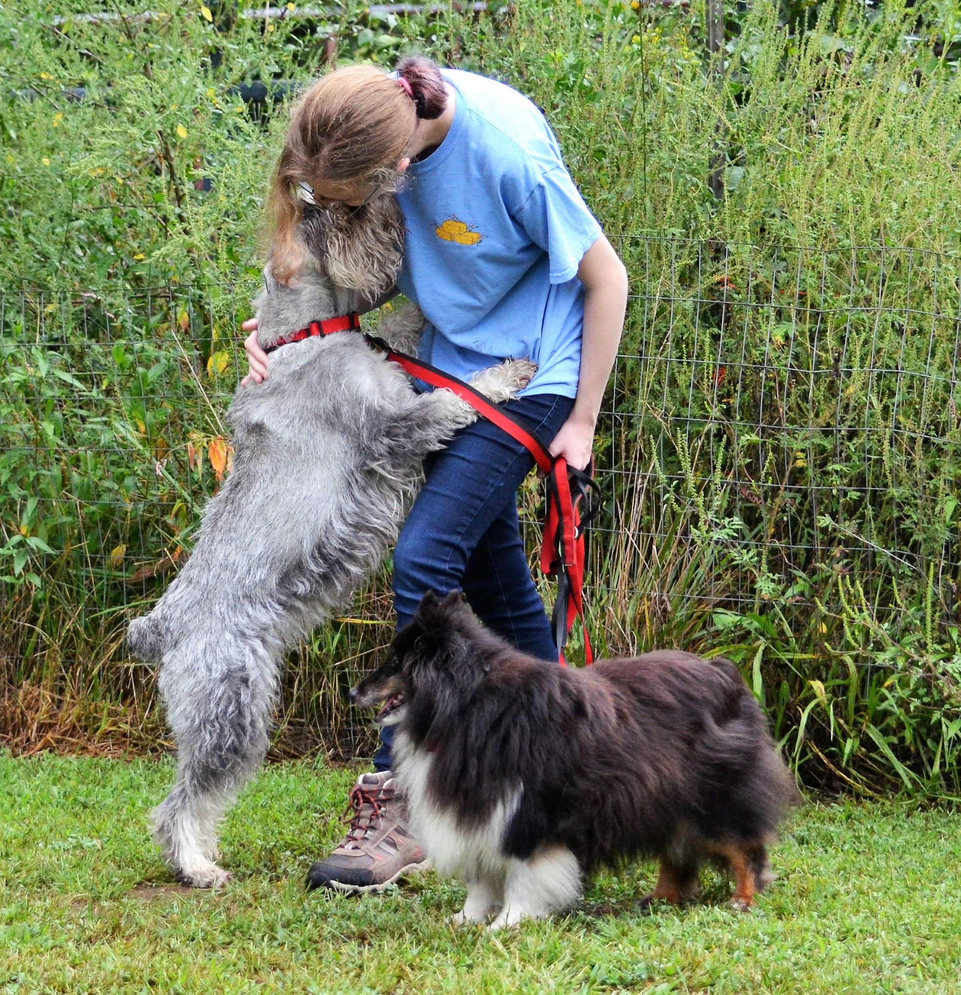 Sarah and Dogs crop smaller