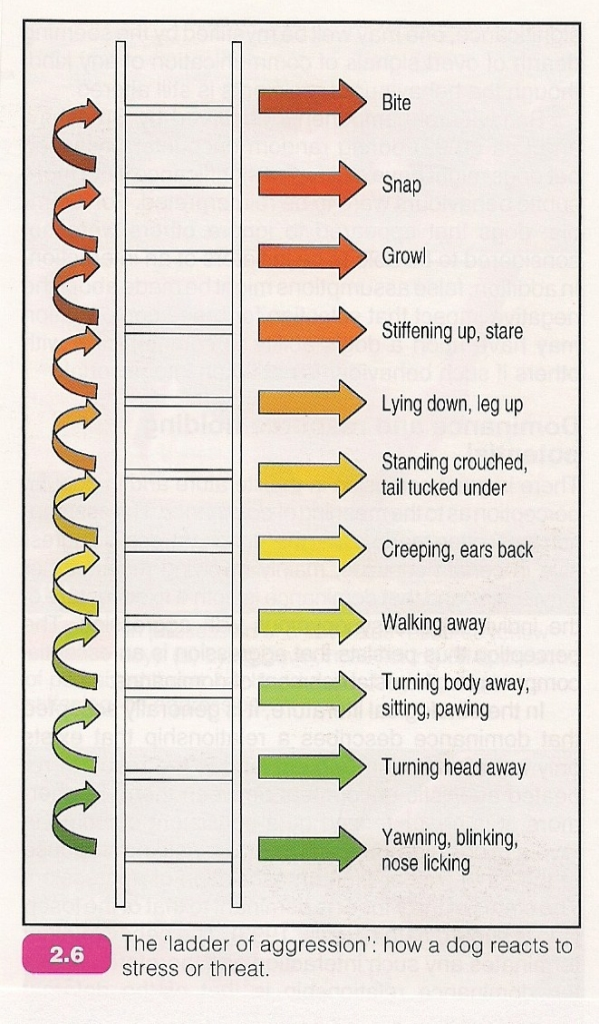 ladder of aggression 3